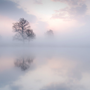 《三颗熟樱桃》
