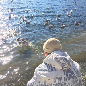 《三颗熟樱桃》
