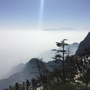 《三颗熟樱桃》
